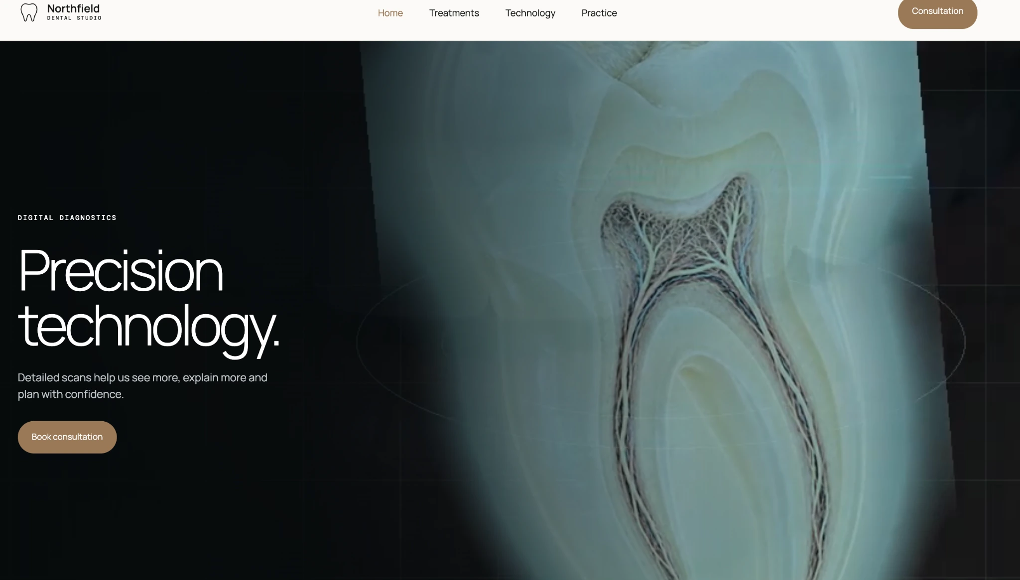 Healthcare & booking website presentation